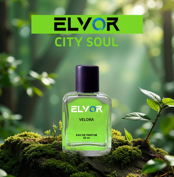 Velora- Recreation Of Sagar Java Positive Vibes